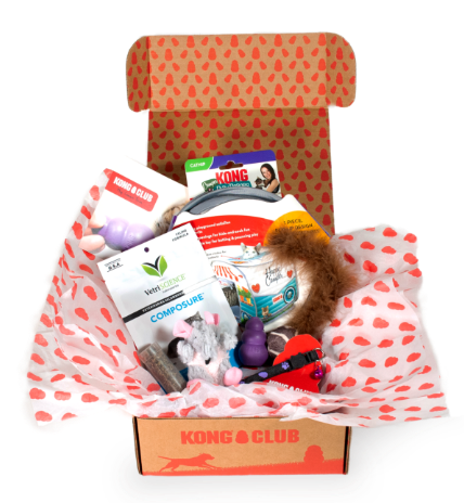 KONG Club Monthly Cat Subscription Box