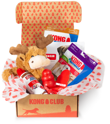KONG Club Monthly Dog Subscription Box