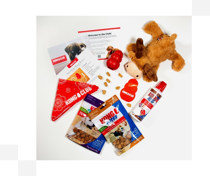 KONG Club Monthly Cat and Dog Subscription Box