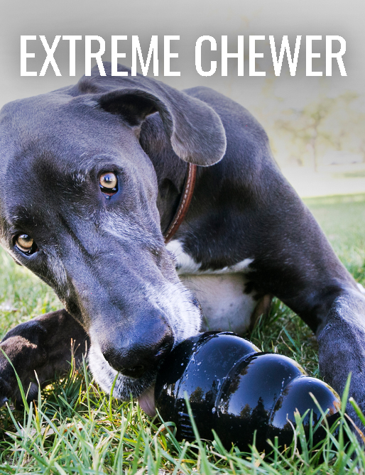 Extreme Chewer