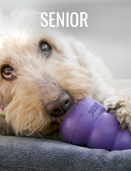 Senior