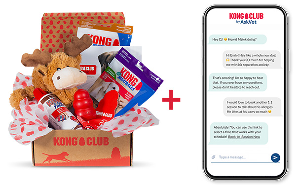 KONG Club Dog Subscription Box