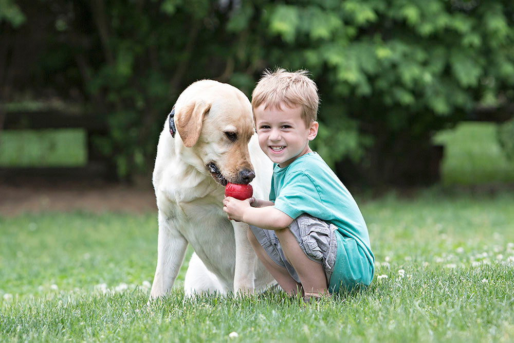 Best Dogs for kids