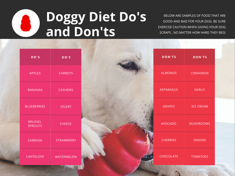 Doggy Diet do's and don'ts